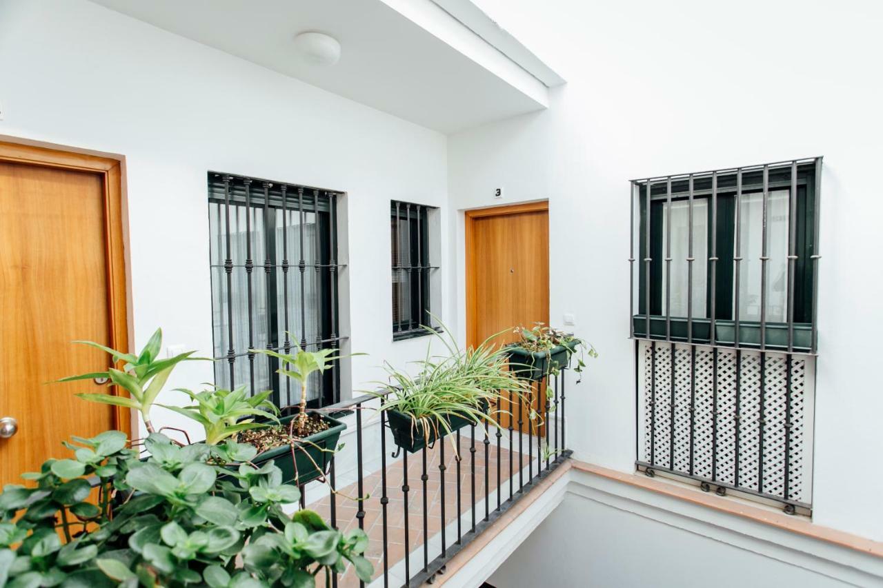 Bright Duplex W/ Terrace Apartment Seville Exterior photo